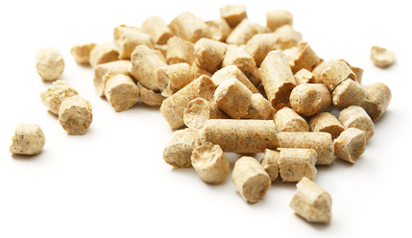 Production of wood pellets